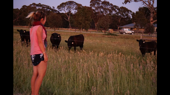 Screenshot_2016-12-04-15-12-03