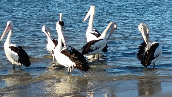 Screenshot_2016-10-17-13-13-19