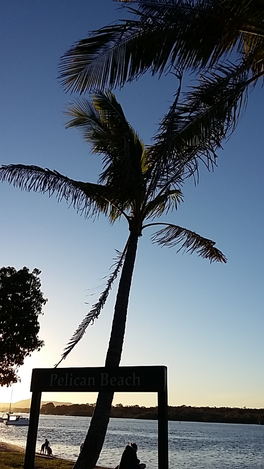 Screenshot_2016-10-17-13-13-28