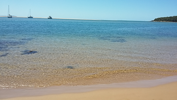 Screenshot_2016-10-17-13-16-43