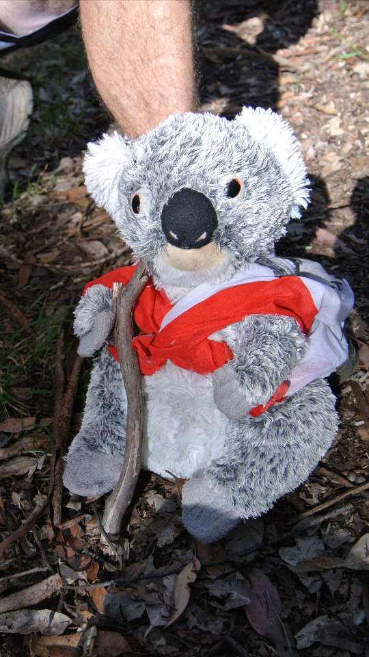 katoomba_et_son_baton_rando