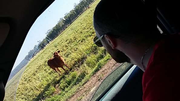 Screenshot_2016-10-17-13-17-38