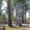 Carnarvon_National_Park