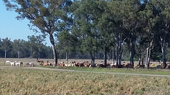 Screenshot_2016-10-17-13-18-16