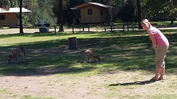 Screenshot_2016-10-17-13-18-50