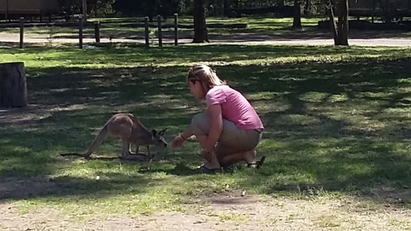 Screenshot_2016-10-17-13-18-55