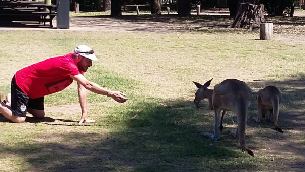 Screenshot_2016-10-17-13-19-05