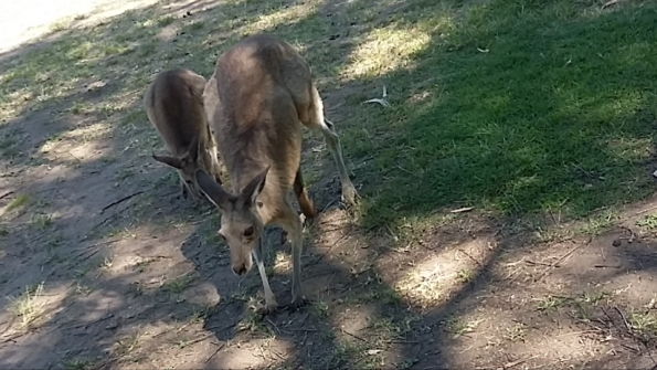 Screenshot_2016-10-17-13-19-17