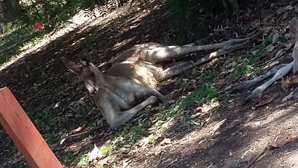 Screenshot_2016-10-17-13-19-22