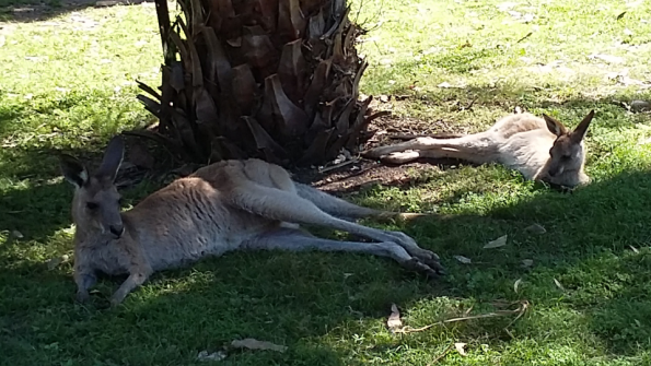 Screenshot_2016-10-17-13-19-26