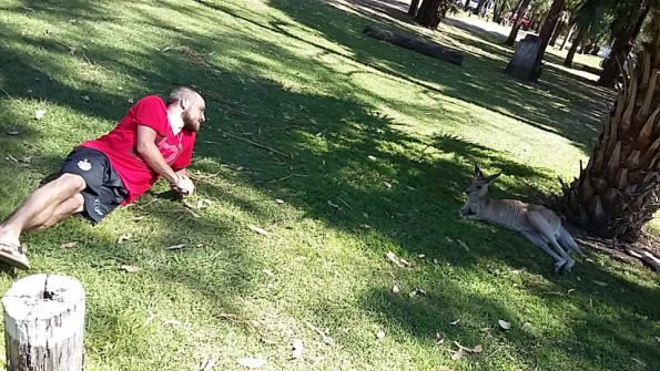 Screenshot_2016-10-17-13-19-30