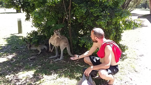 Screenshot_2016-10-17-13-20-09