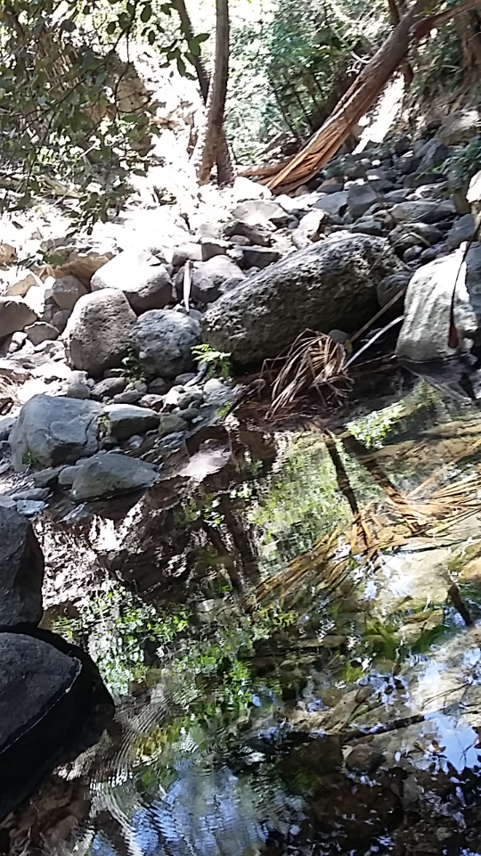 Screenshot_2016-10-17-13-20-43