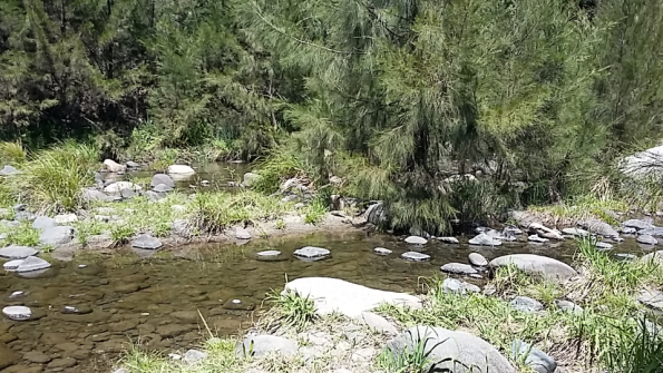 Screenshot_2016-10-17-13-21-28