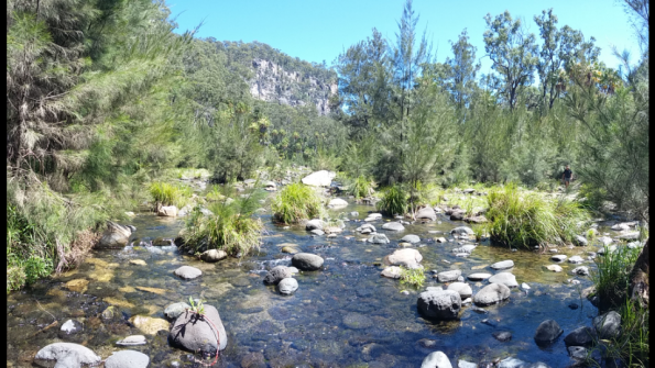 Screenshot_2016-10-17-13-21-31