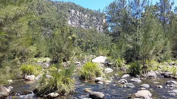 Screenshot_2016-10-17-13-21-36