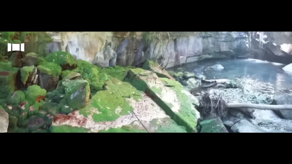 Screenshot_2016-10-17-13-21-45