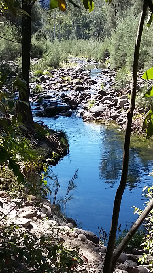 Screenshot_2016-10-17-13-22-06