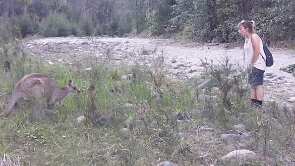 Screenshot_2016-10-17-13-22-56