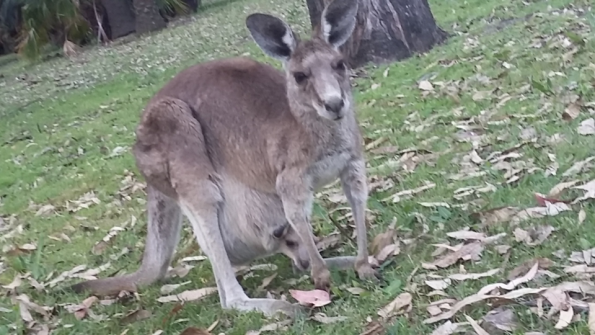 Screenshot_2016-10-17-13-23-05