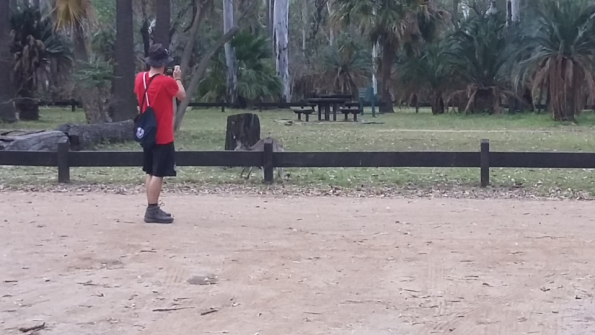 Screenshot_2016-10-17-13-23-13