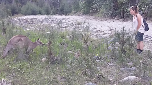 Screenshot_2016-10-19-20-31-28