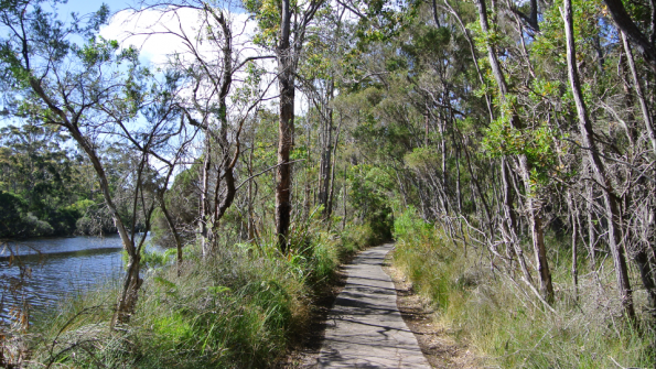 Screenshot_2016-11-29-12-04-56