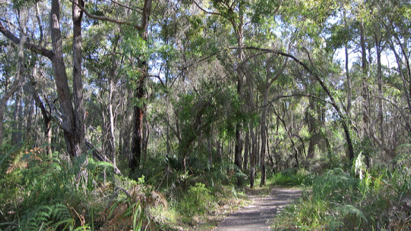 Screenshot_2016-11-29-12-05-00