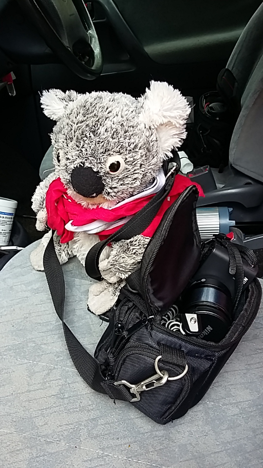 katoomba_pret_pour_sa_balade