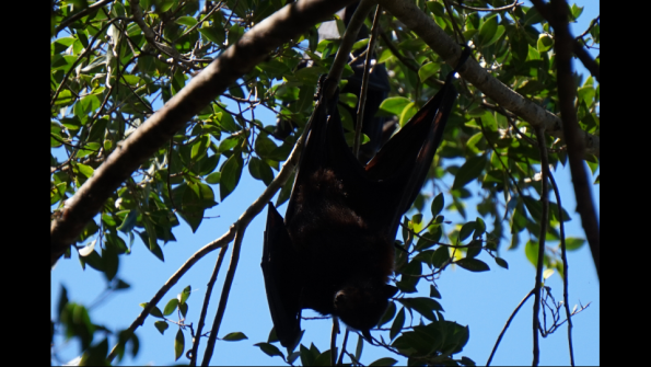 Screenshot_2016-10-18-19-44-20