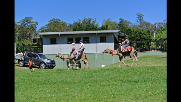 Screenshot_2016-10-18-19-44-27