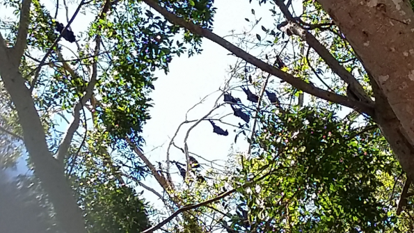 Screenshot_2016-10-18-19-44-34