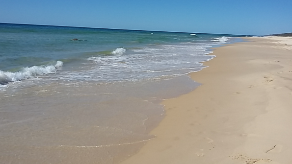 Screenshot_2016-10-03-13-43-09