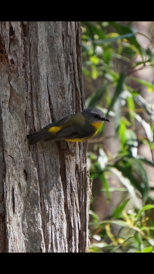 Screenshot_2016-10-18-19-37-58