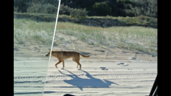 Screenshot_2016-10-18-19-38-18