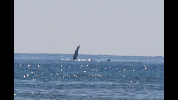 Screenshot_2016-10-18-19-38-22