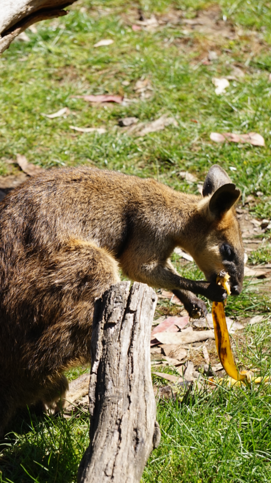 Screenshot_2016-12-04-15-07-14