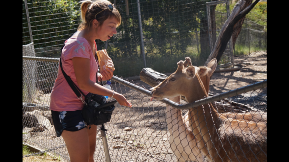 Screenshot_2016-12-04-15-07-35