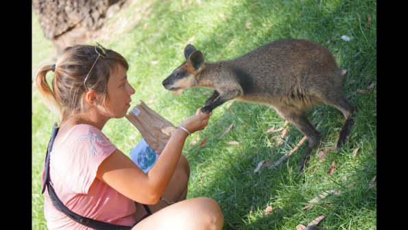 Screenshot_2016-12-04-15-07-47