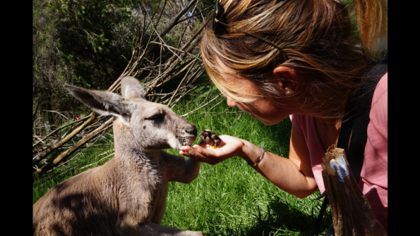 Screenshot_2016-12-04-15-08-01