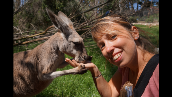 Screenshot_2016-12-04-15-08-07