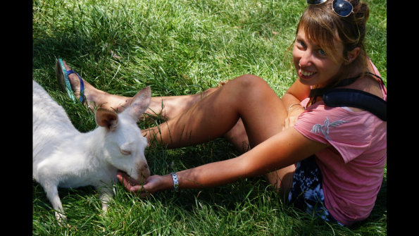 Screenshot_2016-12-04-15-08-32