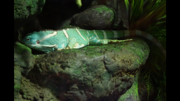 Screenshot_2016-12-04-15-08-46