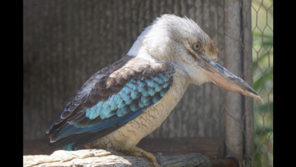 Screenshot_2016-12-04-15-09-19