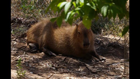 Screenshot_2016-12-04-15-09-37