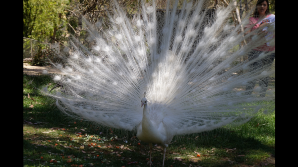 Screenshot_2016-12-04-15-09-39