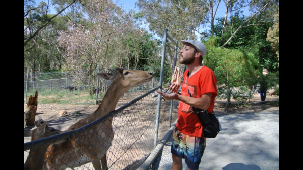 Screenshot_2016-12-04-15-14-00