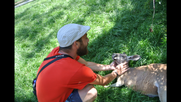 Screenshot_2016-12-04-15-14-10