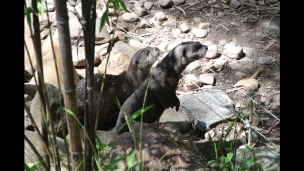 Screenshot_2016-12-04-15-14-21