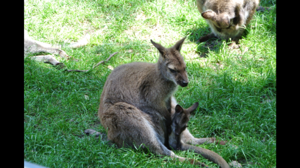 Screenshot_2016-12-04-15-14-29